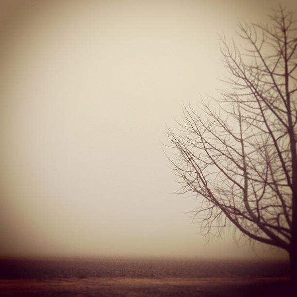 Arkansas Photograph - Foggy Morning #delta_tejadas by Sam Tejada