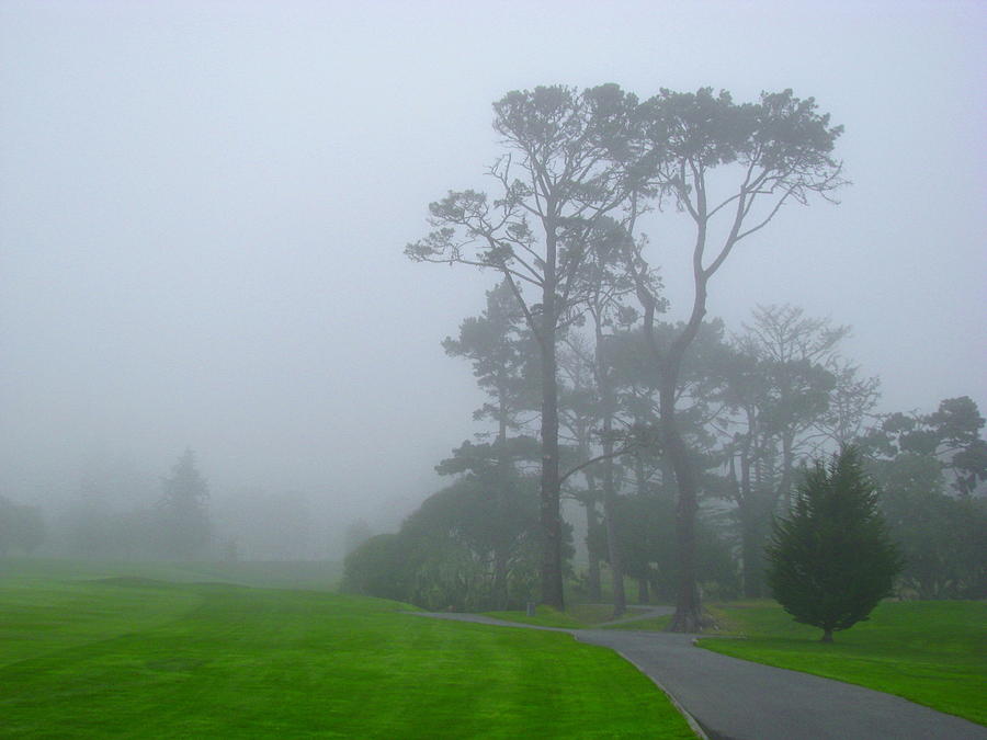 Foggy Morning Photograph by Derek Dean