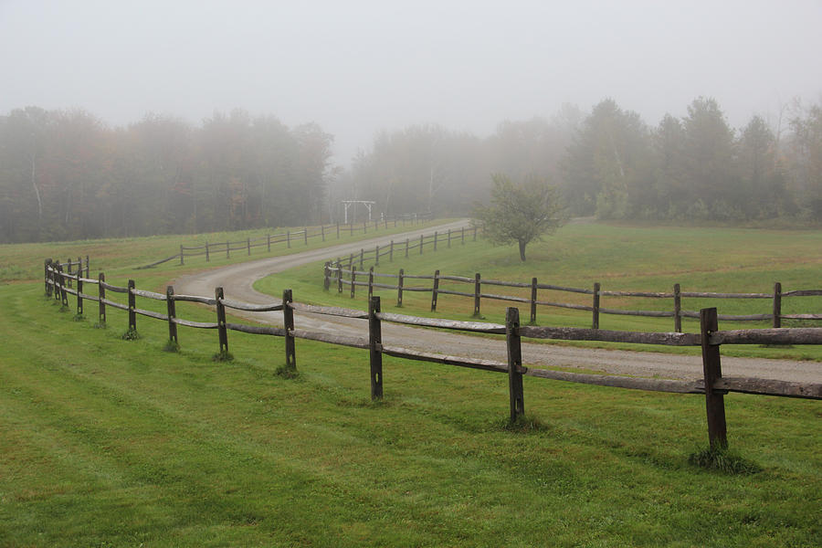 Foggy morning driveway Photograph by Vance Bell