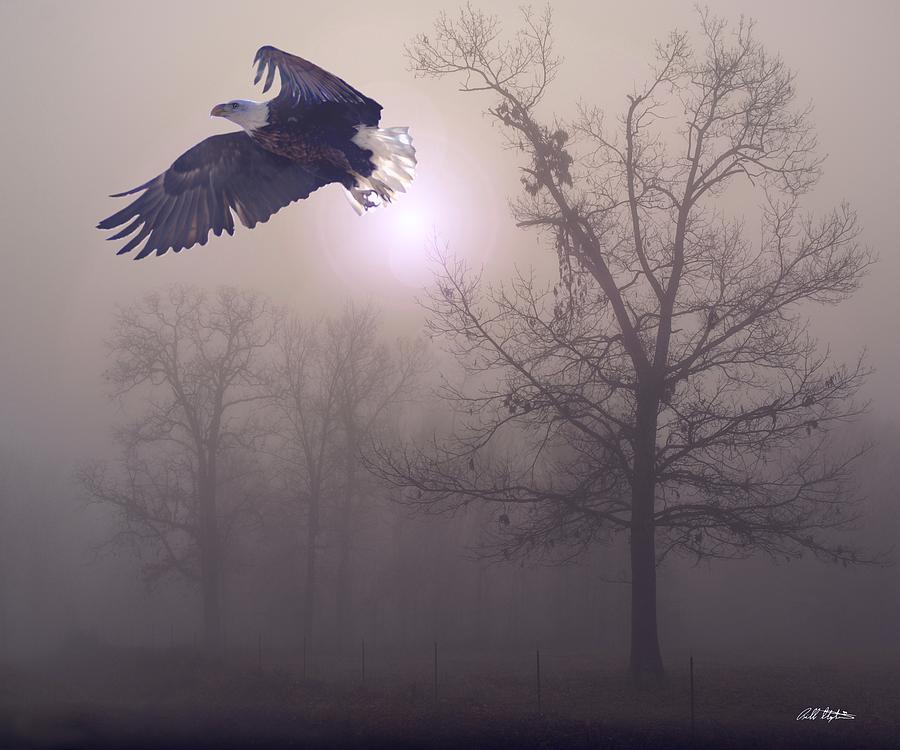 Foggy Morning Flight Digital Art by Bill Stephens