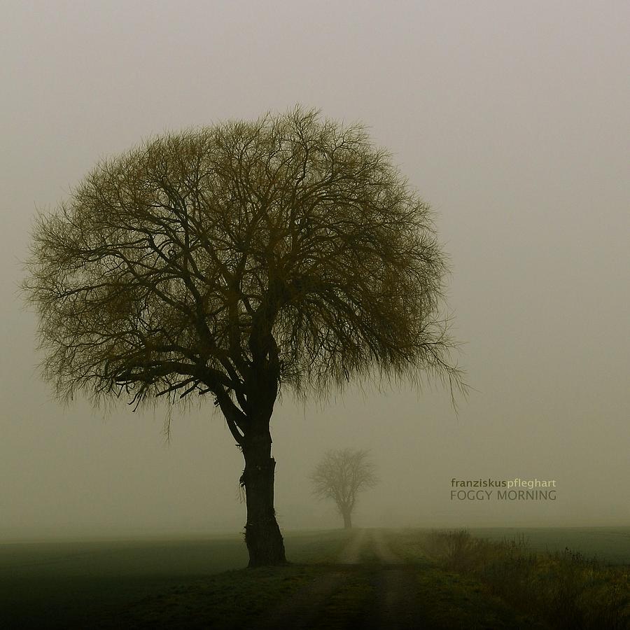 Foggy Morning Photograph by Franziskus Pfleghart
