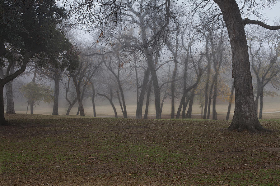 Foggy Morning Photograph by Greg Kopriva