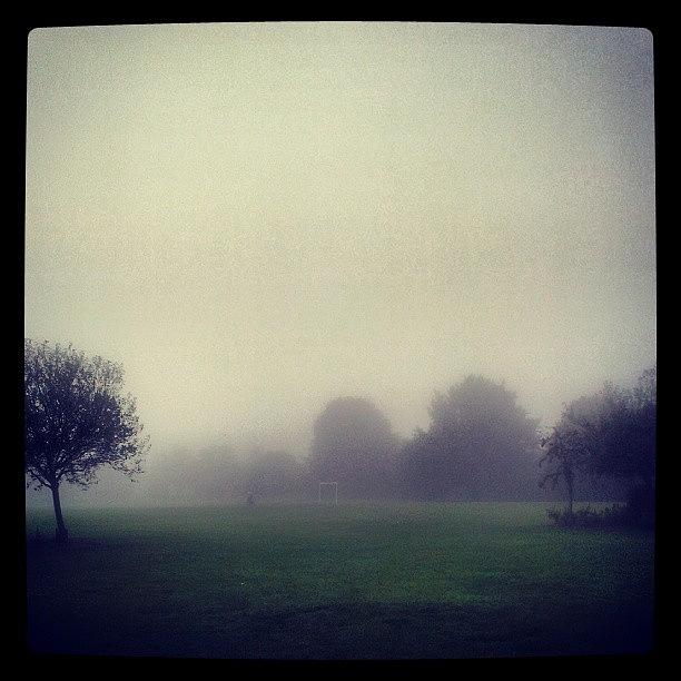 Foggy Morning In Cambridge Photograph by Luisa Esposito