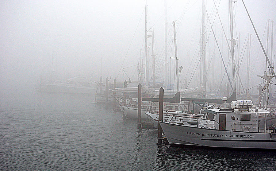 Foggy Morning in Charleston Harbor Photograph by AJ  Schibig