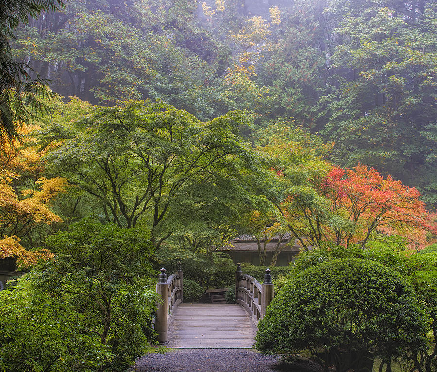 Foggy Morning in Japanese Garden Photograph by David Gn