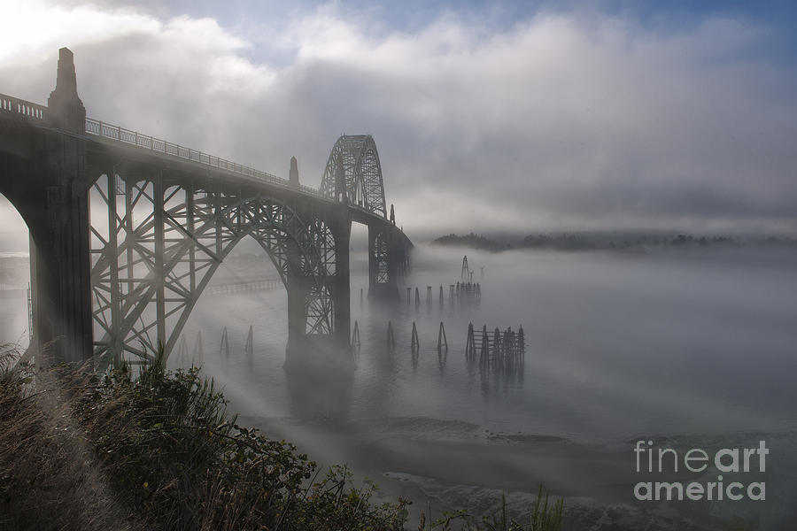 Foggy Morning in Newport Photograph by Sandra Bronstein