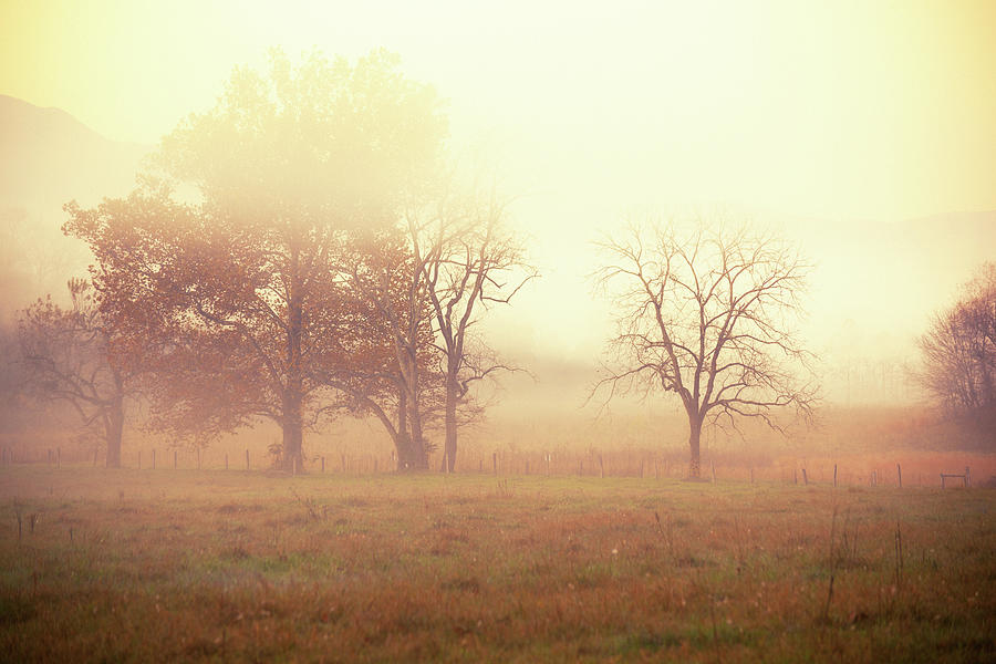 Foggy Morning In The Country Side Photograph by Moreiso