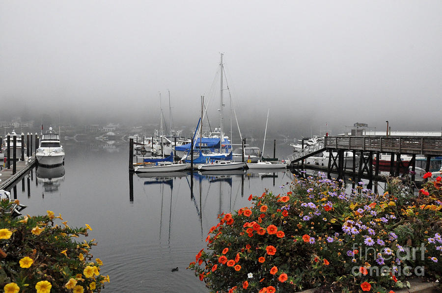 Foggy Morning In The Harbor  Photograph by Tatyana Searcy