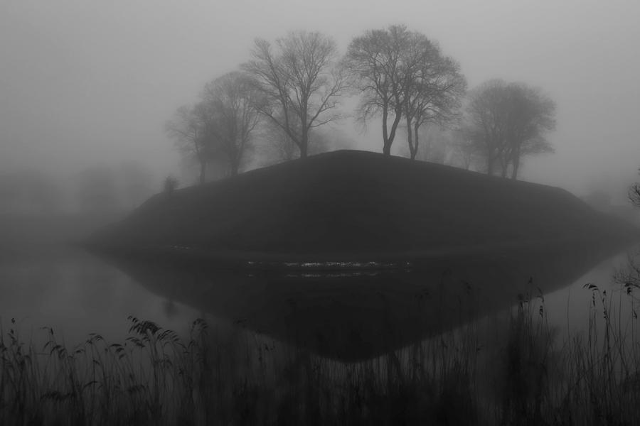 Foggy Morning Photograph by Inge Riis McDonald