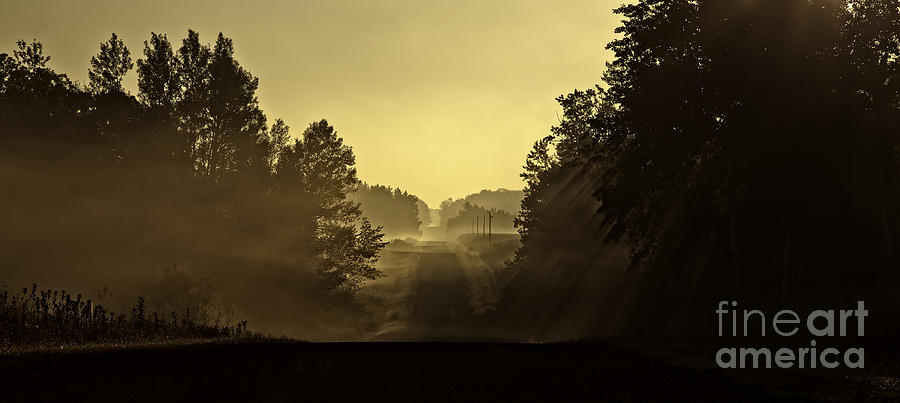 Foggy Morning Photograph by Jan Killian