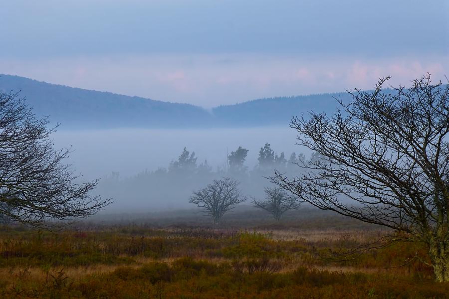 Foggy Morning Photograph by Jennifer Wheatley Wolf