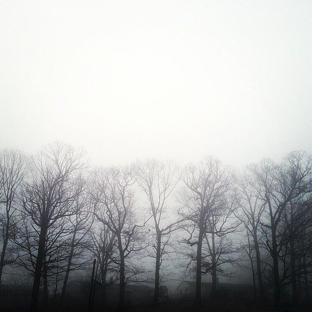 Foggy Morning Photograph by Kim Szyszkiewicz