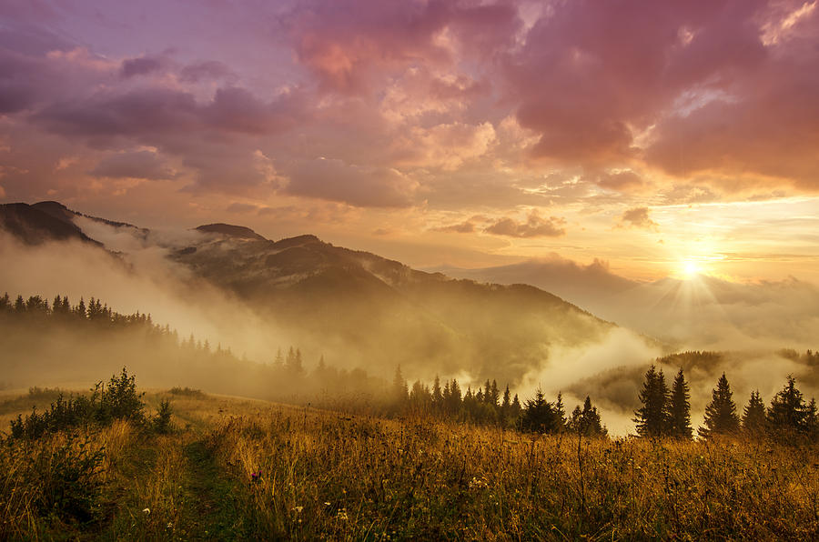 Foggy Morning Landscape Photograph by Roksana Bashyrova