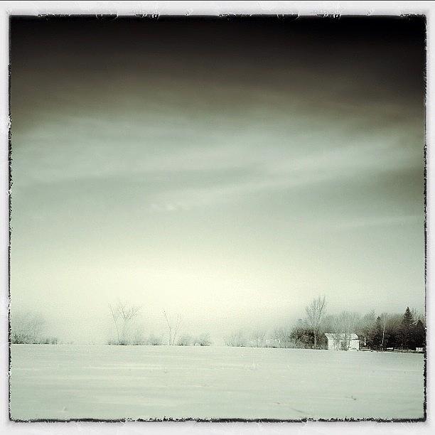 Winter Photograph - Foggy Morning by Nathalie Longpre