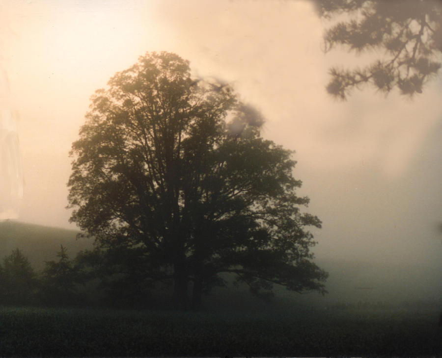 Sunrise Photograph - Foggy Morning by Norman Johnson Sunrise Photograph - Foggy Morning by Norman Johnson