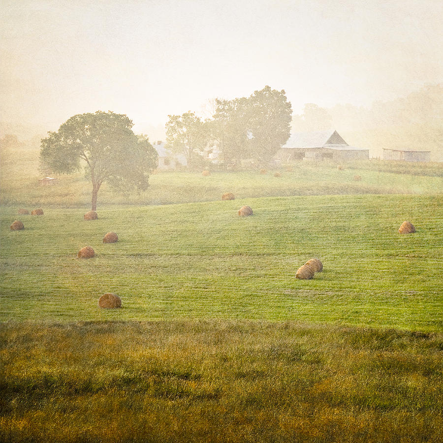 Foggy Morning on the Farm Photograph by Jeff Abrahamson