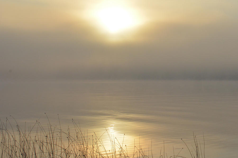 Deer Lake Photograph - Foggy Morning on the Lake by Sherri Abell