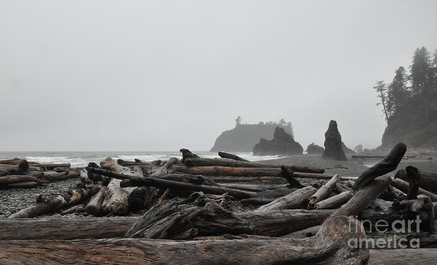 Nature Photograph - Foggy Morning on the Washington Coast  2 by Tatyana Searcy