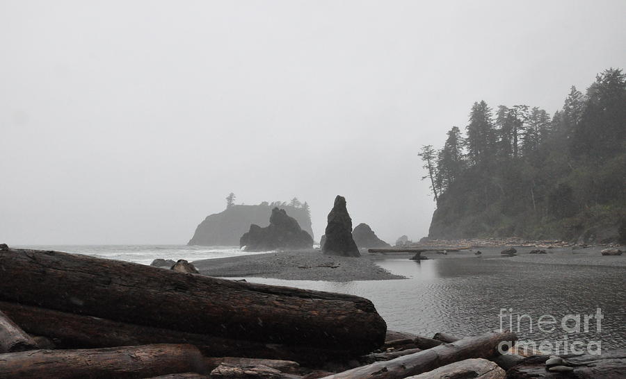 Nature Photograph - Foggy Morning on the Washington Coast by Tatyana Searcy