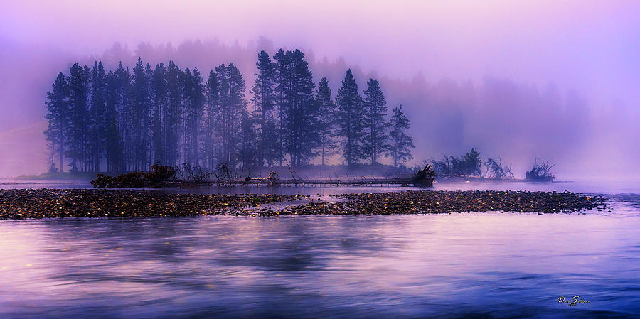 Foggy morning on the Yellowstone River Photograph by David Soldano