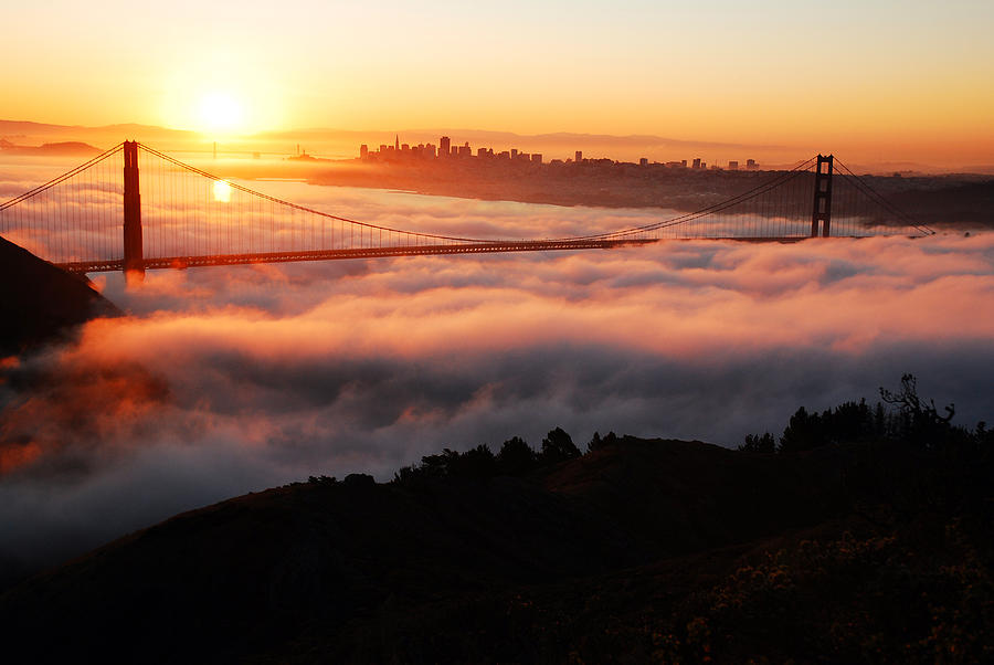 Foggy Morning San Francisco Photograph by James Kirkikis