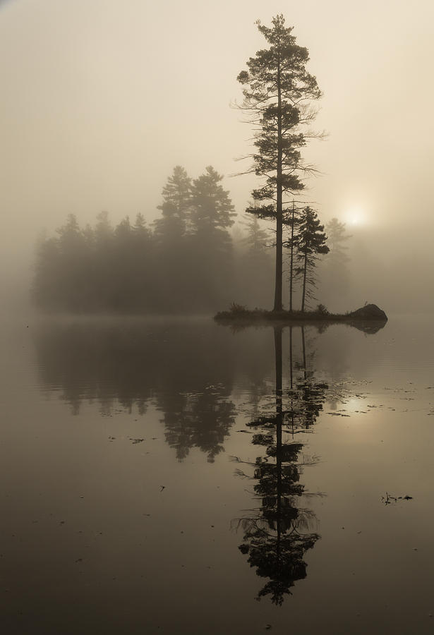 Foggy morning sunrise at the lake Photograph by Vance Bell