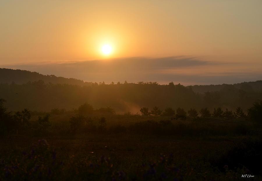 Foggy Morning Sunrise in May Photograph by Maria Urso