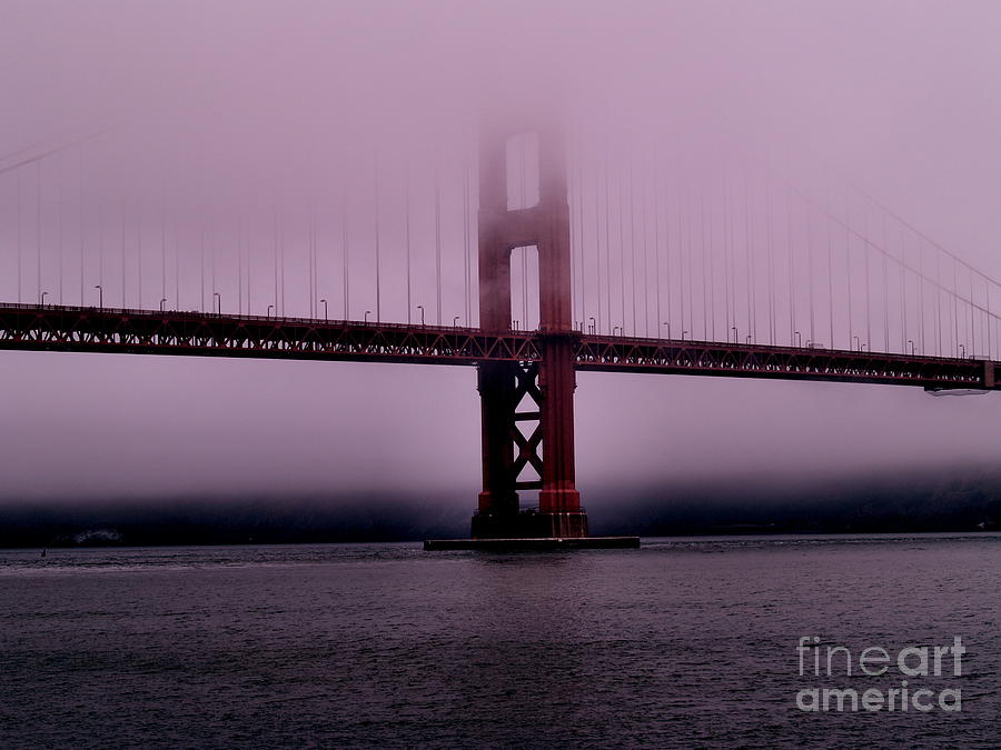San Francisco Photograph - Foggy Morning Symphony by Craig Pearson