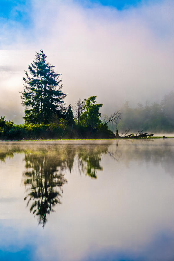 Foggy Morning Photograph by Tommy Farnsworth