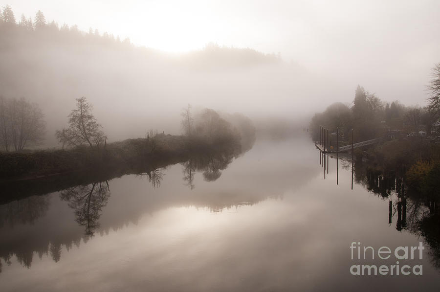 Foggy Morning Photograph by Vivian Christopher