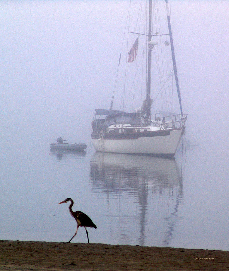Foggy Morning Walk Photograph by Brian Gilna