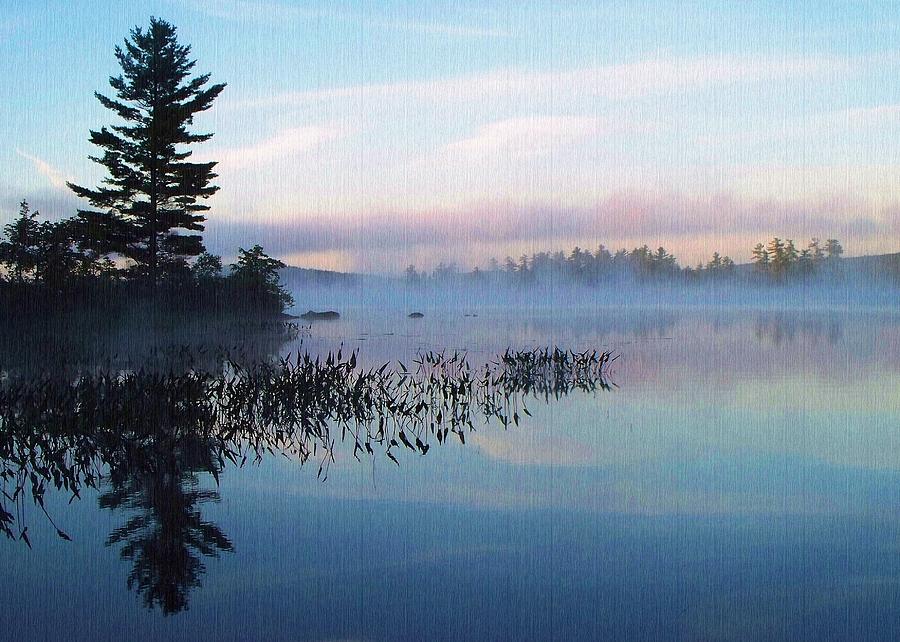 Foggy Mornings Chill -- On Parker Pond Photograph