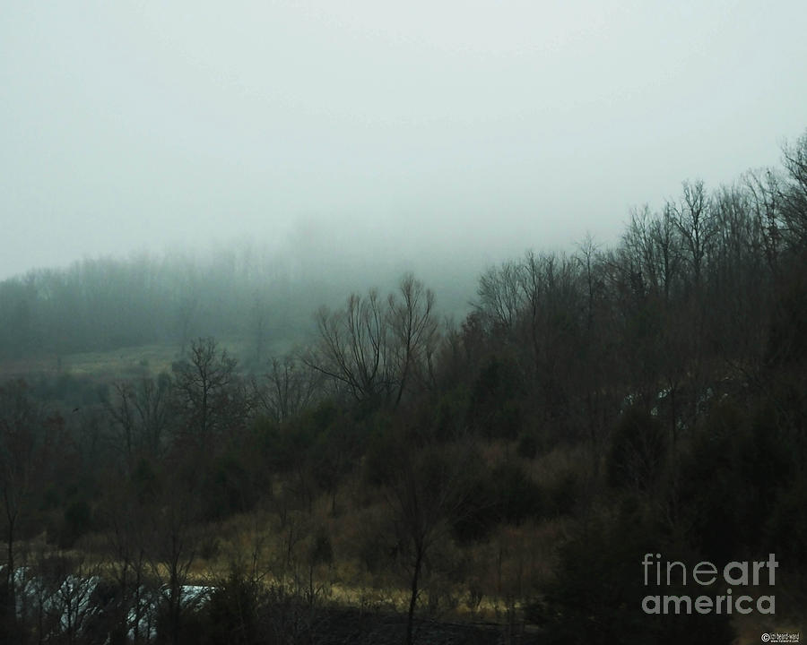 Foggy Mountain Morning Bentonville AR Photograph by Lizi Beard-Ward