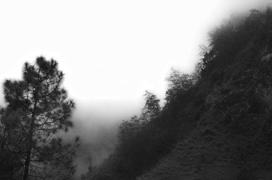 Nature Photograph - Foggy Mountain by V Naveen  Kumar