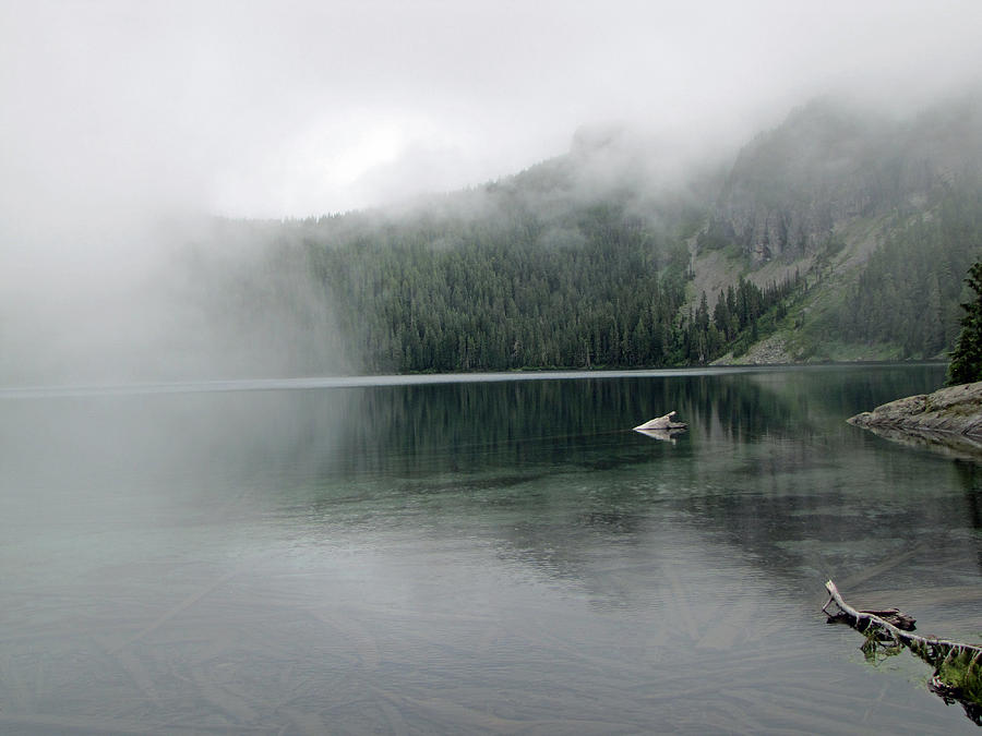 Foggy Mowich Lake Photograph by Tikvahs Hope