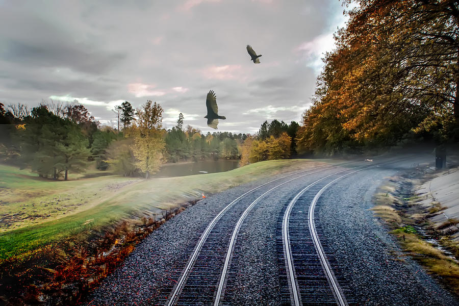 Foggy Nature Along The Train Tracks Photograph by Alex Grichenko
