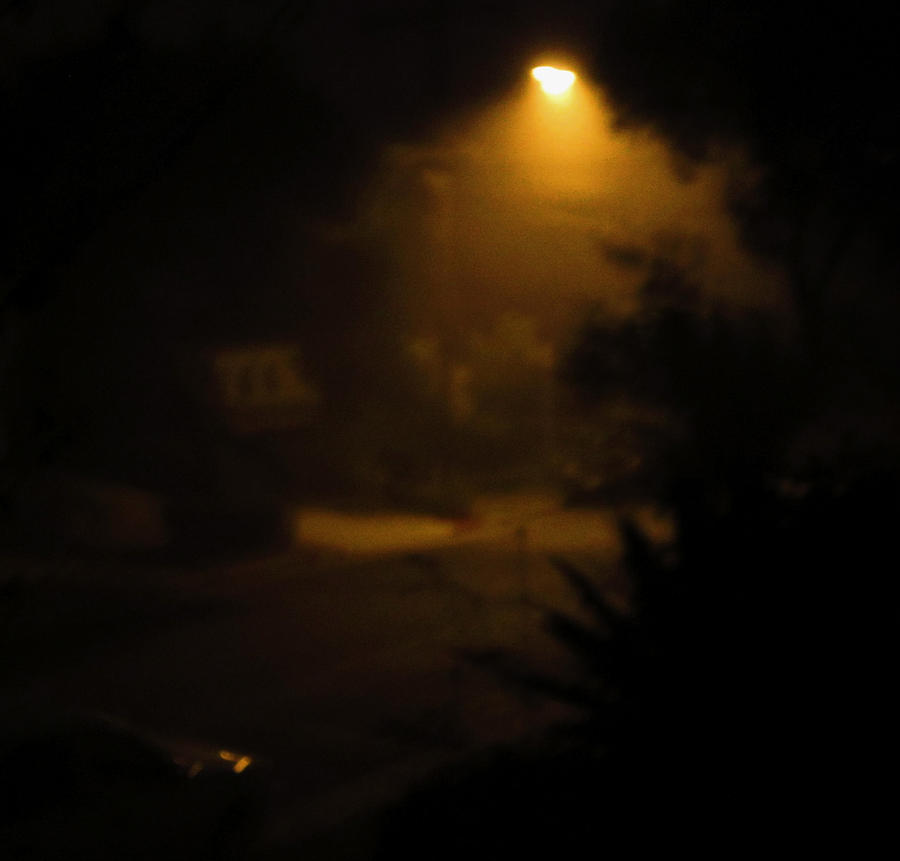 Foggy Night Photograph by Steve Fields