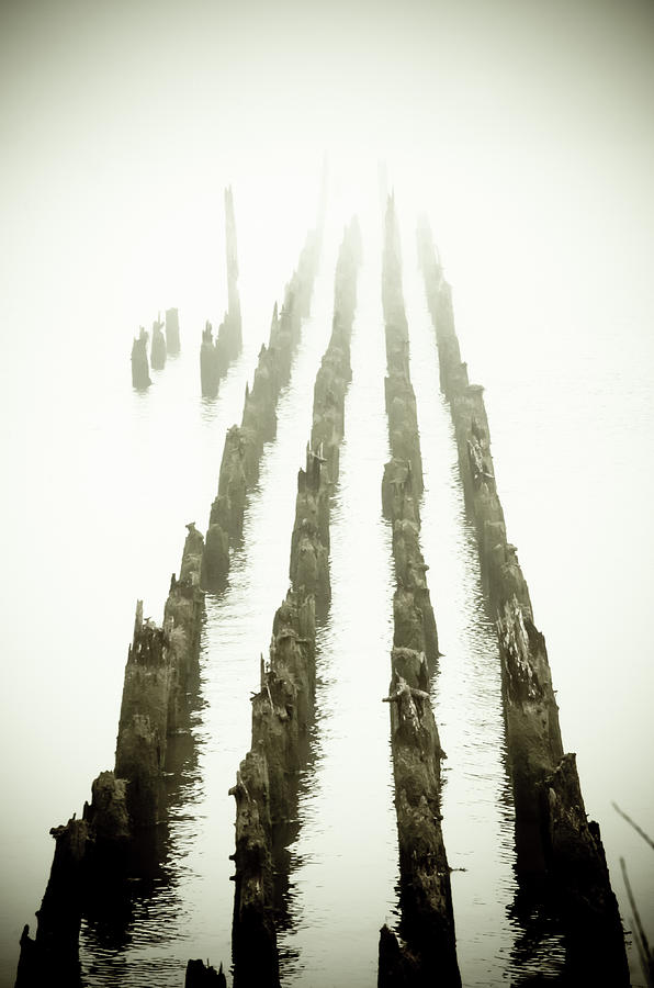 Foggy Nights At The Pier Photograph by Craig Perry-Ollila