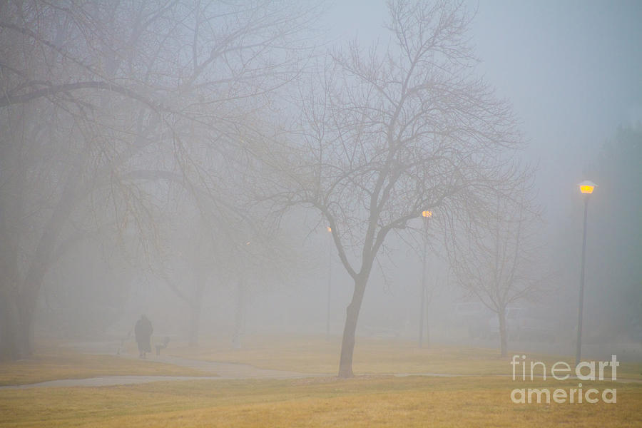 Foggy Park Morning Photograph by James BO Insogna