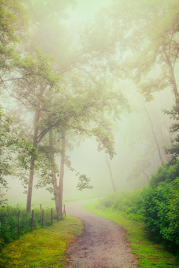 Foggy Path - Blue Ridge Parkway Painting by Dan Carmichael