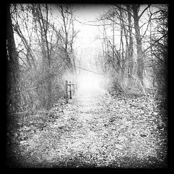 Hipstamatic Photograph - Foggy Path #hipstamatic by Mary Ann Reilly