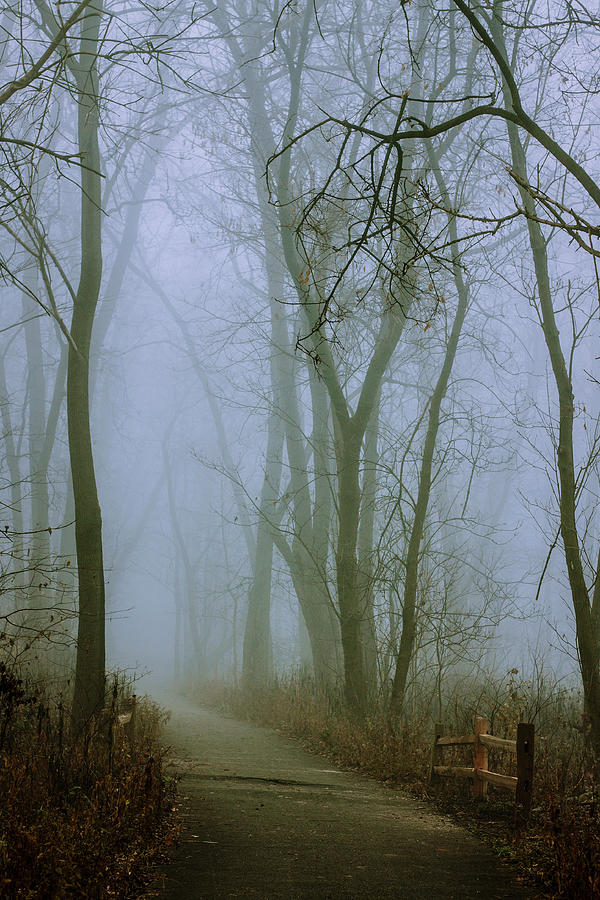 Foggy Path Photograph by Lauri Novak