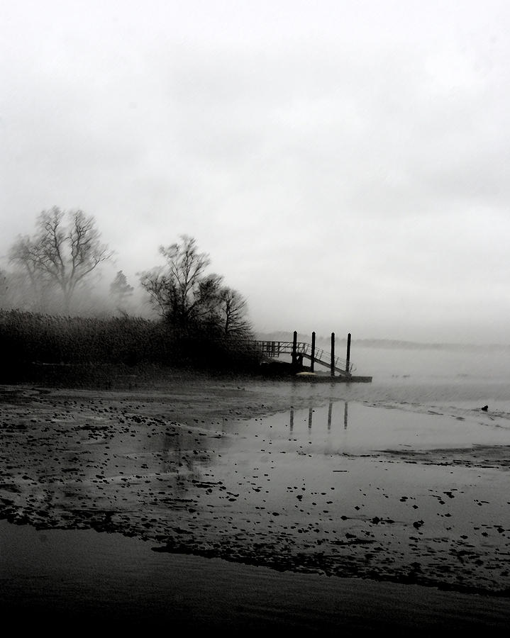 Foggy Pier in January Photograph by Margie Avellino