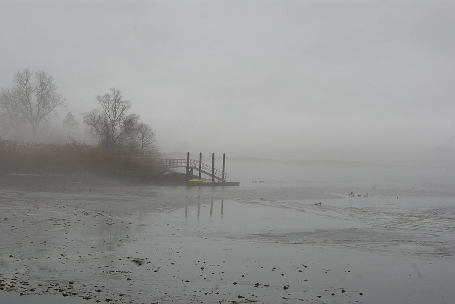 Foggy Pier in Low Tide Photograph by Margie Avellino