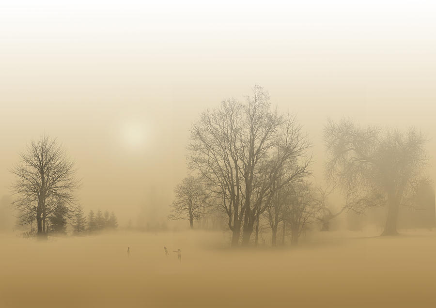Fog Photograph - Foggy Play by Jordan Browning