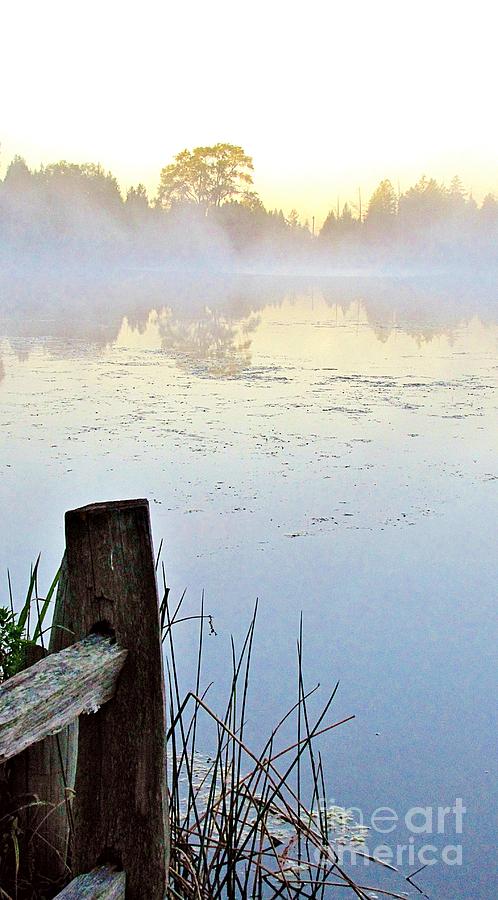 Foggy Pond Photograph by Marilyn Smith
