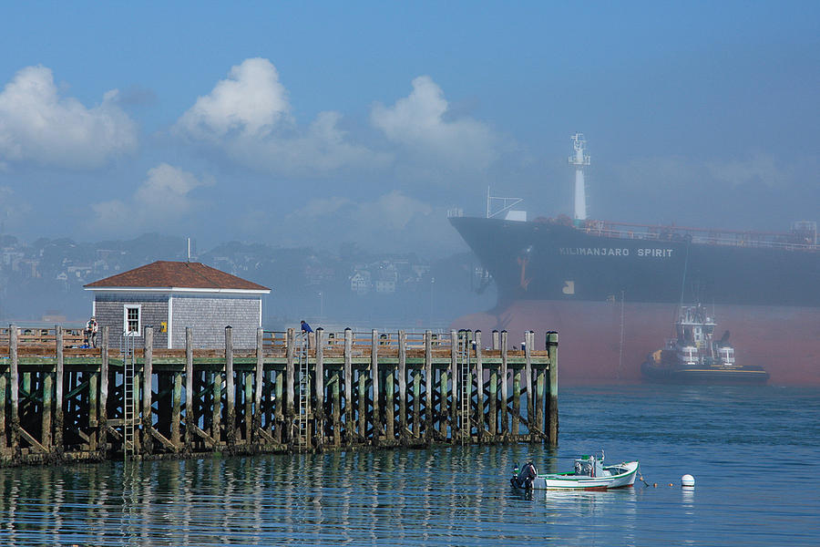 Foggy port Photograph by Jane Luxton