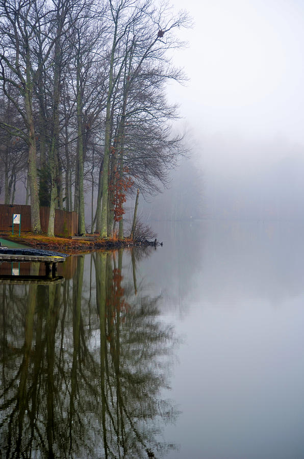 Tree Photograph - Foggy Reflection by Sandi OReilly