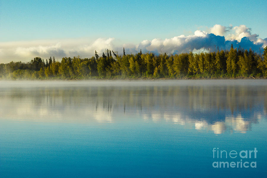 Nature Photograph - Foggy Reflections by Alanna DPhoto