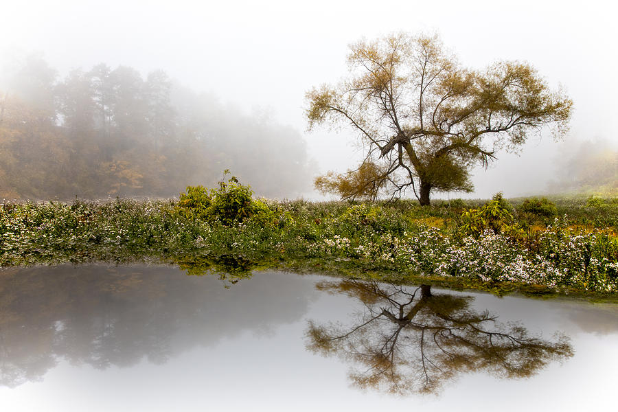 Foggy Reflections Landscape Photograph by Debra and Dave Vanderlaan